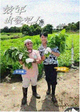 青苹果影视 歌手2024